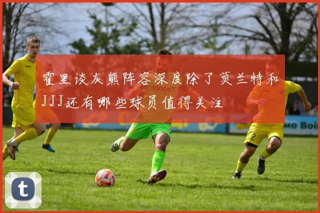 霍里谈灰熊阵容深度除了莫兰特和JJJ还有哪些球员值得关注
