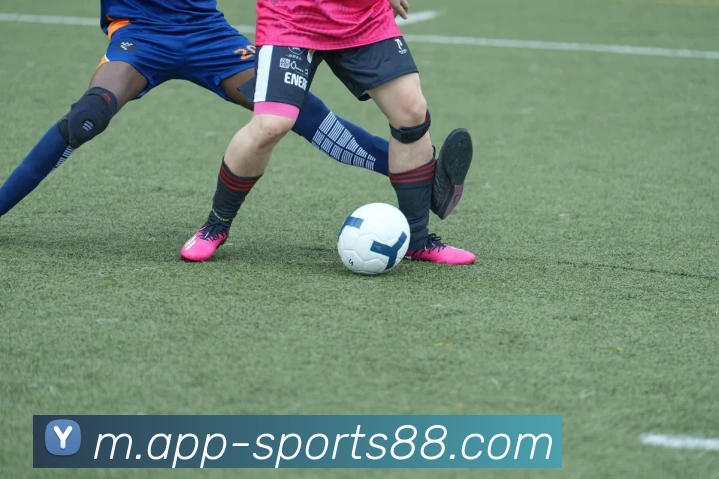 88体育发展历程